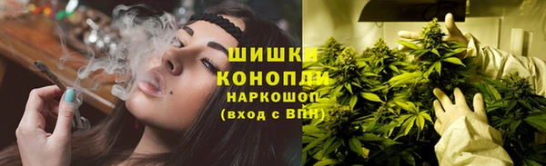 ПСИЛОЦИБИНОВЫЕ ГРИБЫ Аркадак