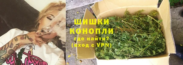 ПСИЛОЦИБИНОВЫЕ ГРИБЫ Аркадак