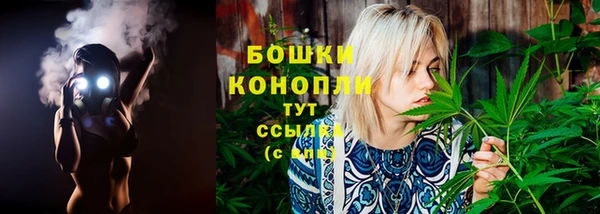 ПСИЛОЦИБИНОВЫЕ ГРИБЫ Аркадак