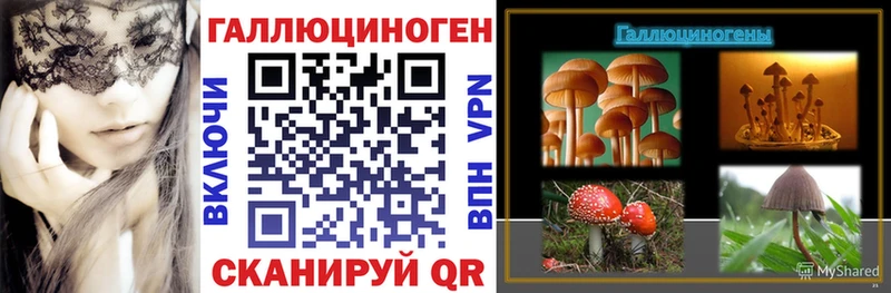 Псилоцибиновые грибы Magic Shrooms  Палласовка 